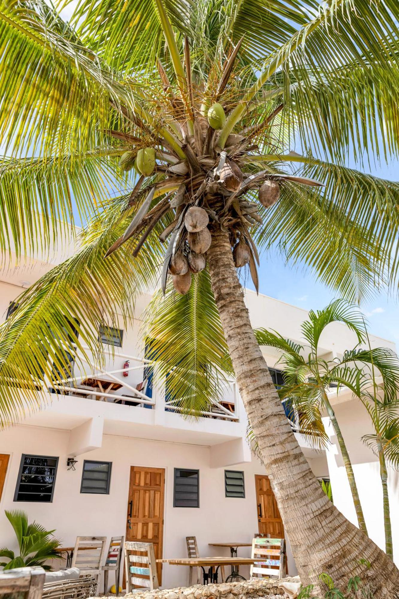 The Hut Bonaire Hotel Playa Eksteriør billede